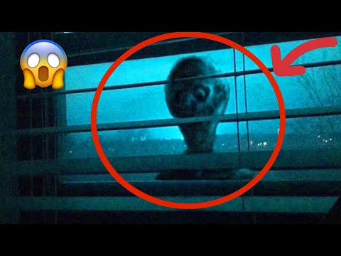 Video: Mehrere Wochen Lang Beobachtete Der Russe Die Schreckliche Kreatur Im Fenster Eines Nachbarhauses - Alternative Ansicht
