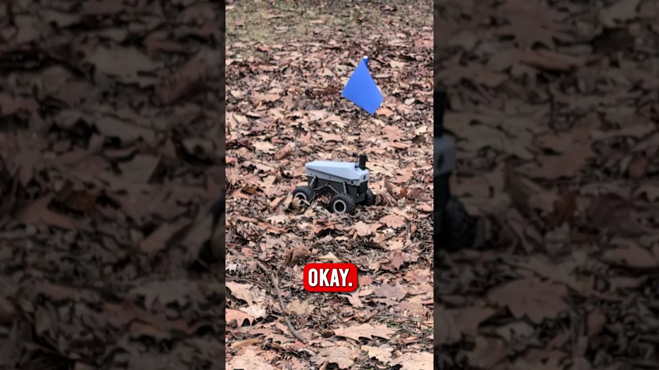 LLM Controled Robot Goes a Park