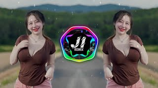 Dj Remix Thai - Mini Nonstop - Viral Tiktok 2025 || #ดีเจไทยรีมิกซ์ (Jhoni Ibanez Remix)