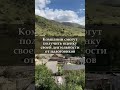 Компании смогут получить оценку своей деятельности от налоговиков. Читайте описание #налоги #бизнес