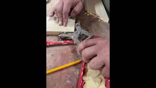 How to build an Arched Casetta Picture Frame in a Minute and a Half… screenshot 4