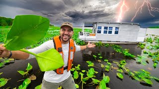 72hr on House Boat During Major STORM!! (swamp survival)