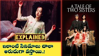 A Tale Of Two Sisters Movie Explained In Telugu | a tale of two sisters 2003 |vkr world telugu