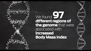 Is obesity in our genes? dr. elizabeth speliotes, m.d., ph.d., m.p.h.,
explains the role genes play body size and shape. by analyzing genetic
samples of 3...