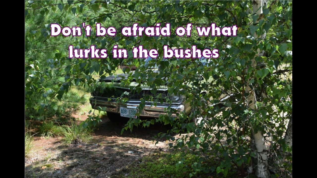 1973 Dodge Dart Swinger - Sitting for years, what will it look like?