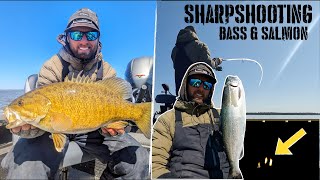 Crushing BIG Smallmouth Bass + Sharpshooting CRAZY Salmon!