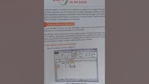 class 7 Editing and formatting in MS Excel