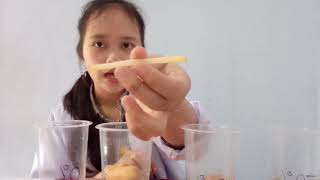 PRAKTIKUM FISIOLOGI TUMBUHAN ( DIFUSI - OSMOSIS )