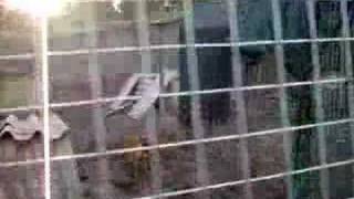 Coimbra Shelter in Portugal