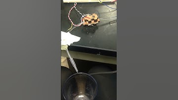 Bubble Detection Test 1