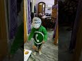 Little champ whatsapp watch till end Whatsapp Status Video Download Free