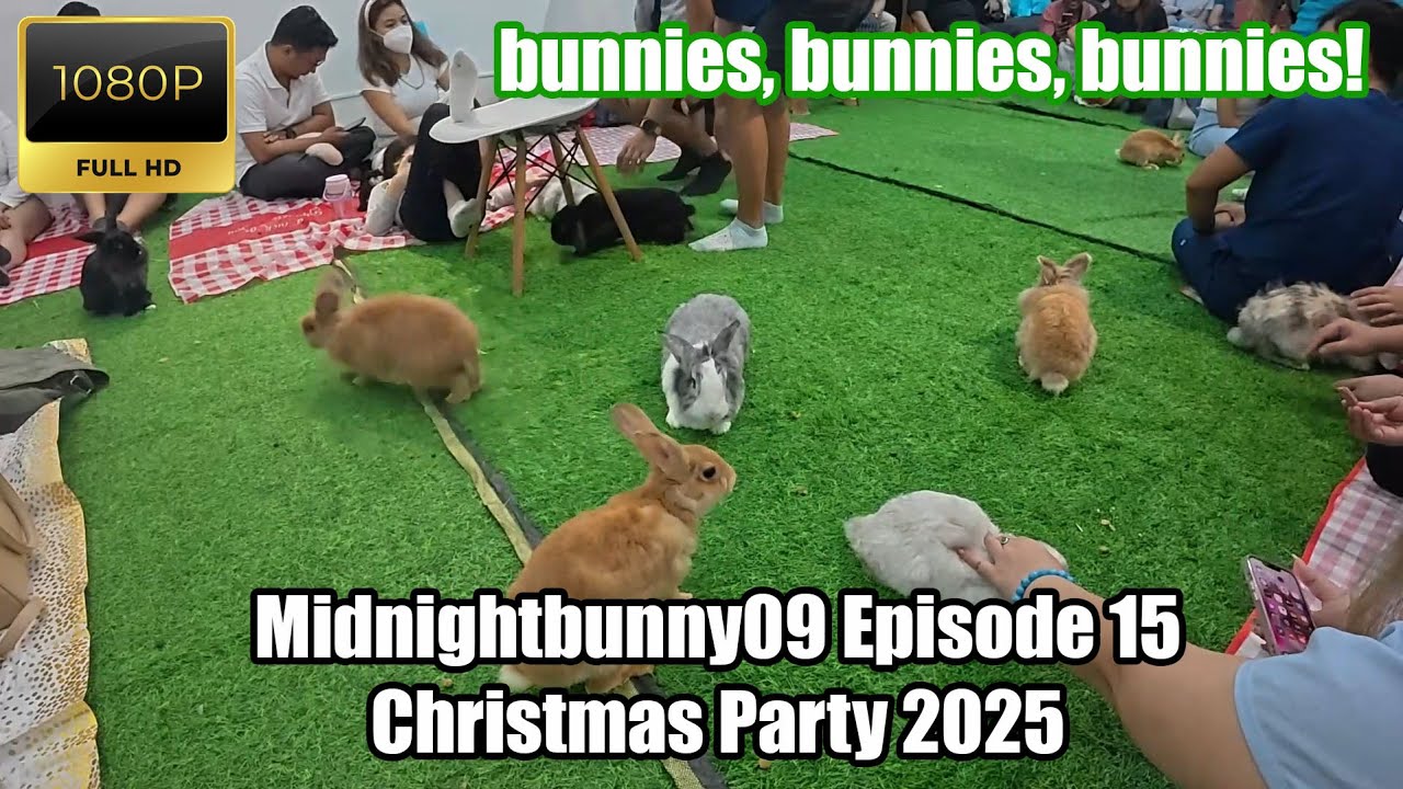 Bunnies of Ph Christmas Party 2025 [Midnightbunny09 S01E14]