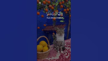 #أذكار_المساء #المصحف #اكسبلور ##قران_كريم #الرحمن