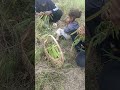 Menikmati keindahan alam di sore hari