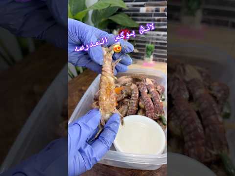 لانش بوكس المدرسه طبخات الشيف دودو شيف ترند  طبخي مدرسه وصفات شيفات