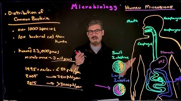 Human Microbiome Introduction