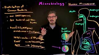 Human Microbiome Introduction