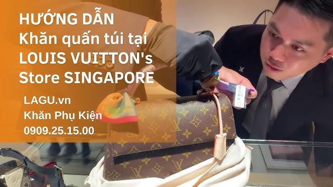 LOUIS VUITTON BOX SCOTT - WTF is it and how to style?! 