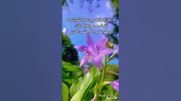 من أجمل التلاوات وخشوع لا يوصف/ طبيعة وطيور(لا إله إلا الله محمد رسول الله