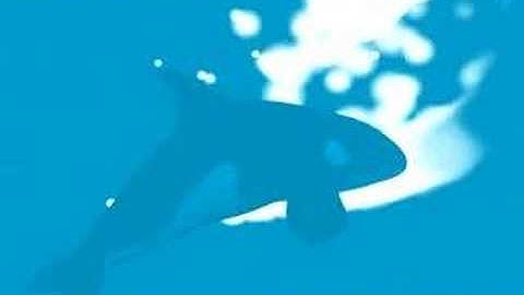 Final Animation Project