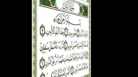 ٩٥ سورة التين ناصر القطامي