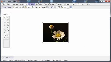 Creating a button in KoolShow Html5 animation software