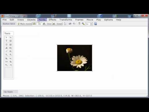 Creating a button in KoolShow Html5 animation software