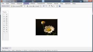 Creating a button in KoolShow Html5 animation software