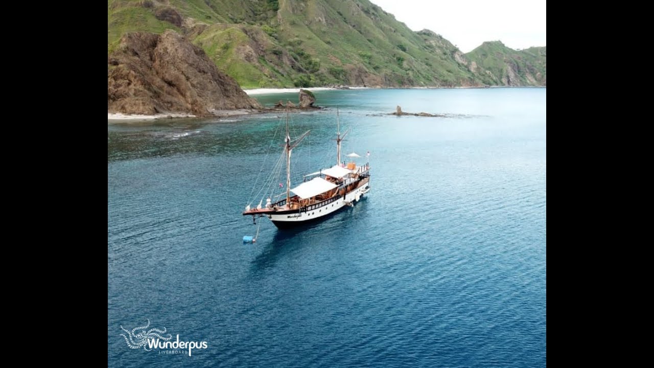 Wunderpus Group Charter Oct 2020