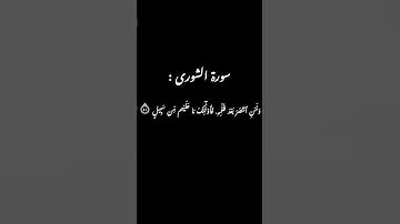 سورة الشورى (وَجَزَٰٓؤُاْ سَيِّئَةٖ سَيِّئَةٞ مِّثۡلُهَاۖ...).