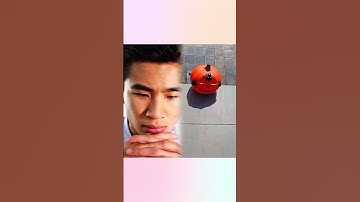 The most Epic Game of Codenames #codenames