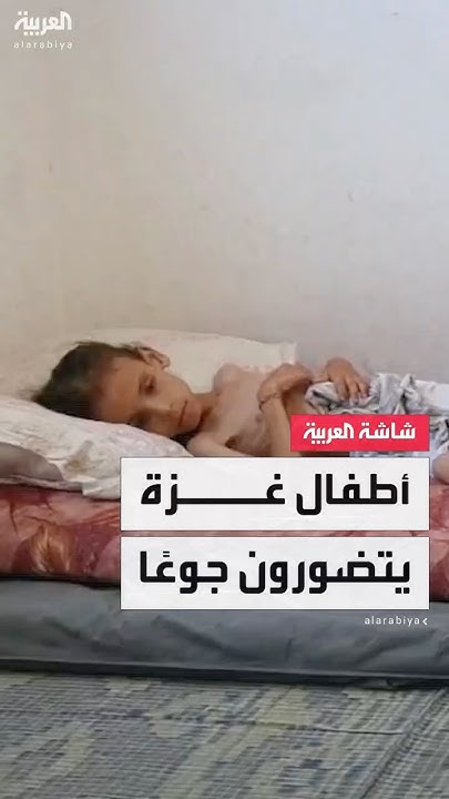     ..         
 - نشر قبل 2 ساعة