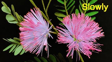 ABC TV | How To Make Calliandra Surinamensis Paper Flower (Slowly) - Craft Tutorial