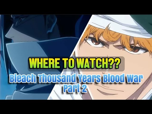 Where can you watch Bleach: Thousand-Year Blood War??? Crunchyroll?  Disney+? Hulu? 
