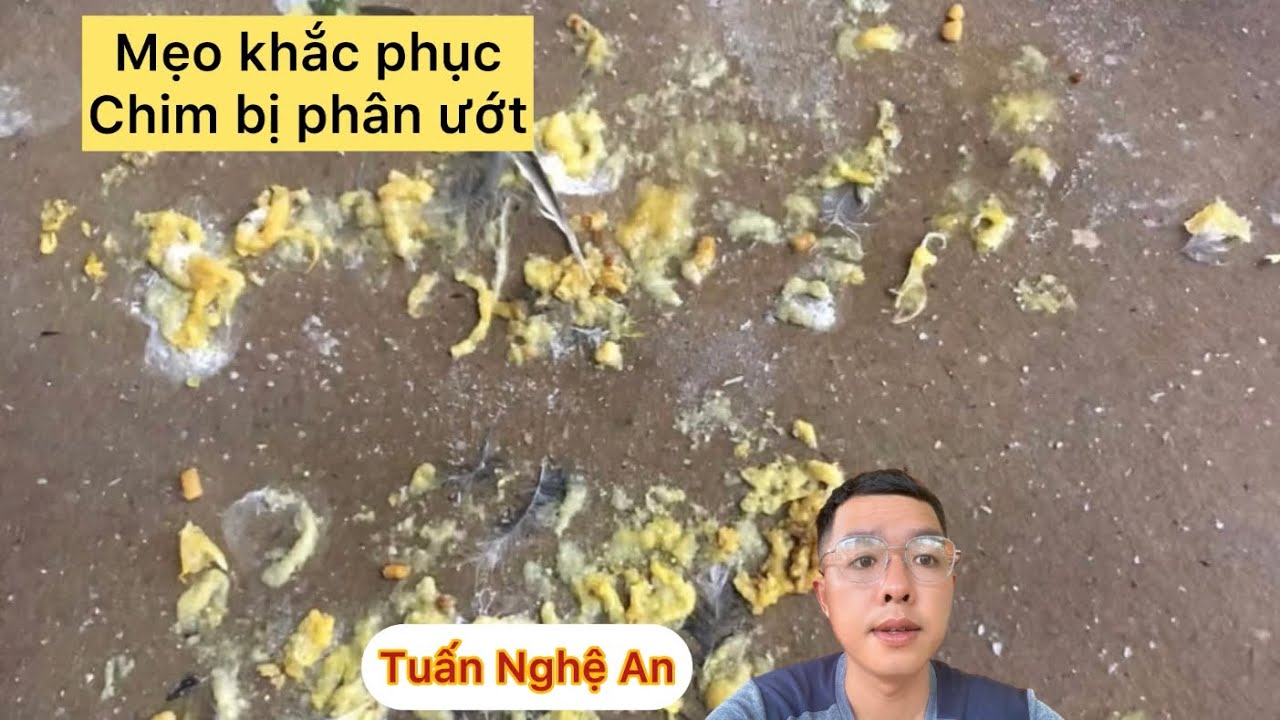 Mẹo chữa khuyên bị phân ướt, uống nhiều nước | Tuấn Nghệ An.