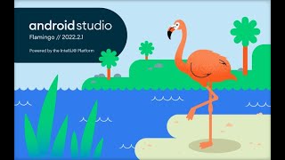 2. Changing kotlin to java in android and downloading an emulator