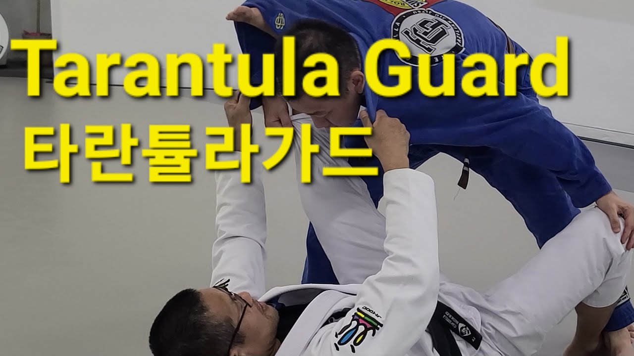 타란튤라가드 Tarantula Guard (기술도움 : 정재훈)