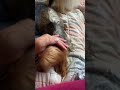 Все мои любимые