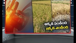 AP People Face Different Problems on Water for Agriculture || NTv