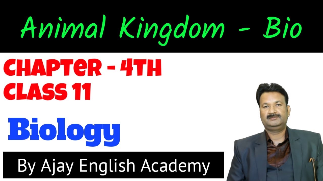 Animal Kingdom , chapter 4th of hindi Bio Ncert - YouTube