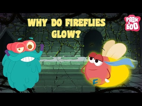 Fireflies | The Dr. Binocs Show | Best Learning Video For kids By Peekaboo kidz | Education Video