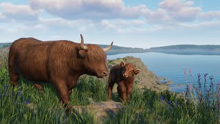 Planet Zoo (PC)(English) #176 5 Minutes of Highland Cattle (Barnyard Animal Pack DLC)