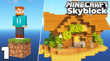 Minecraft Skyblock, but it