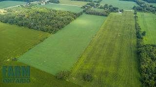 LT 14 CON 7, Waterford | Farms For Sale In Ontario