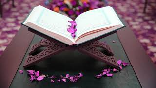 095 سورة التين | سعد الغامدي | بدون إعلانات