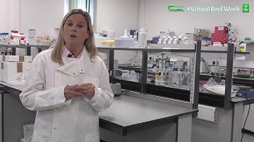 Reducing methane emissions from Irish agriculture