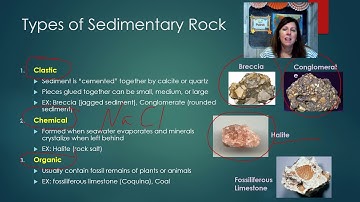 Unit 5 Lesson 7 Three Classes of Rock   Sedimentary Rock Video Notes