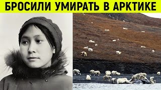 Ее оставили наедине с белыми медведями! Жуткая история выживания женщины на  арктическом острове.