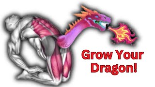 Strengthen your Dragon in Just 5 Min a Day!