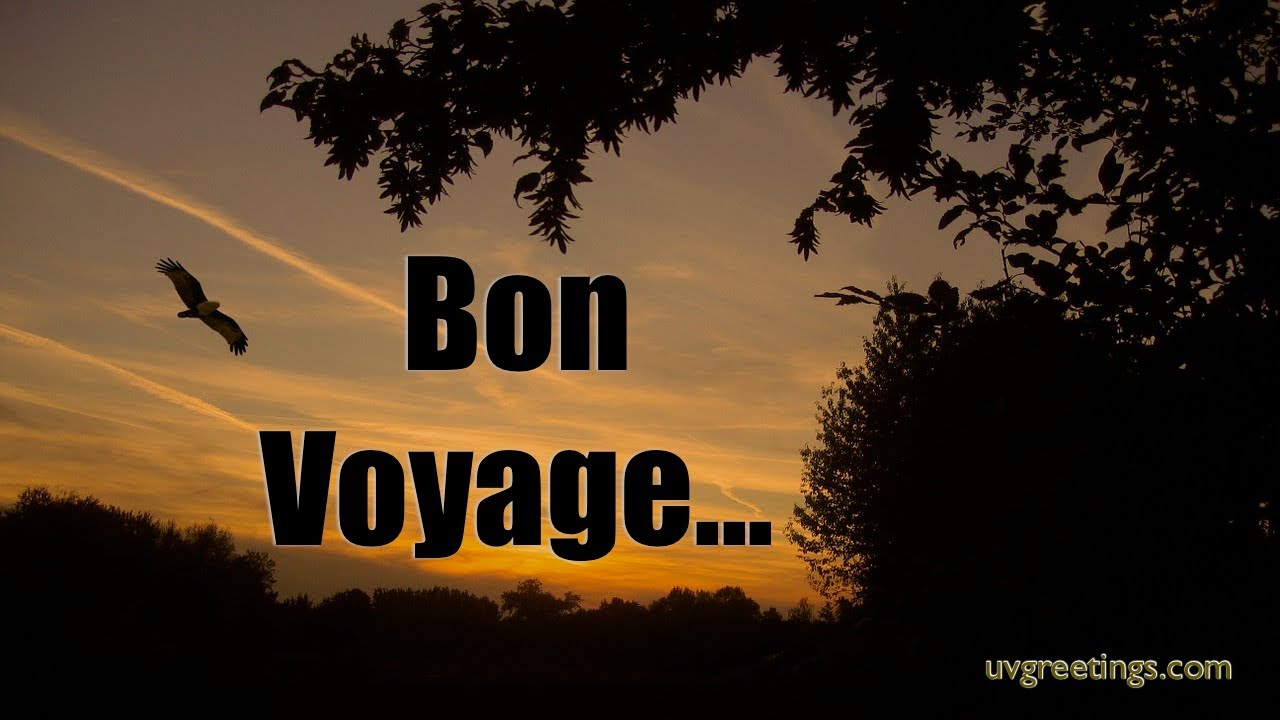 Ecard Bon Voyage World Is A Book Without Travel Life Is Just A Page I M Glad You Realized This At Such An Early Stage Bon Voyage Travel Life E Cards